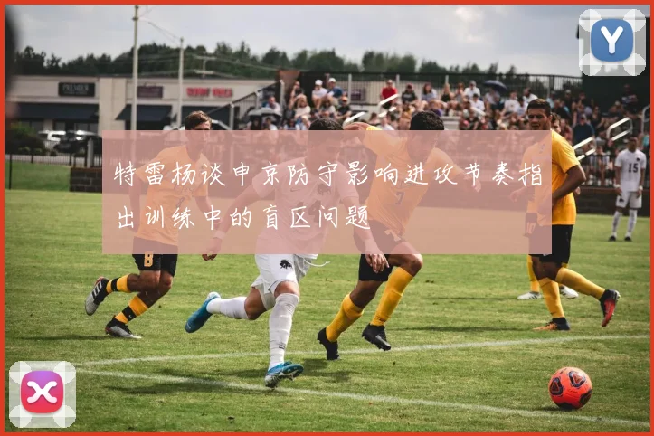 特雷杨谈申京防守影响进攻节奏指出训练中的盲区问题