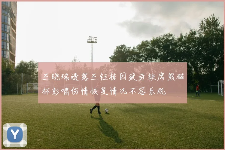 王晓瑞透露王钰栋因疲劳缺席熊猫杯彭啸伤情恢复情况不容乐观
