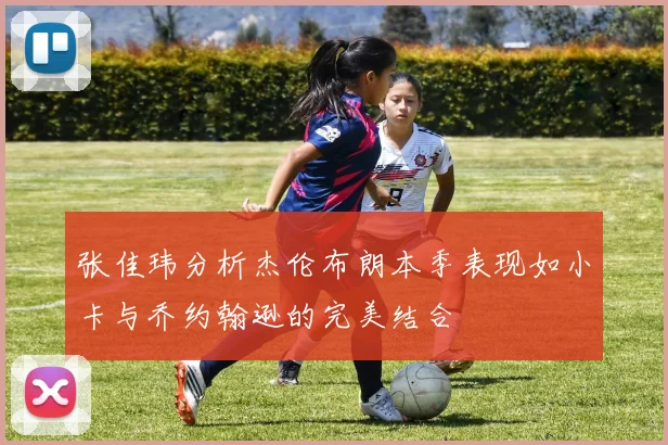 张佳玮分析杰伦布朗本季表现如小卡与乔约翰逊的完美结合
