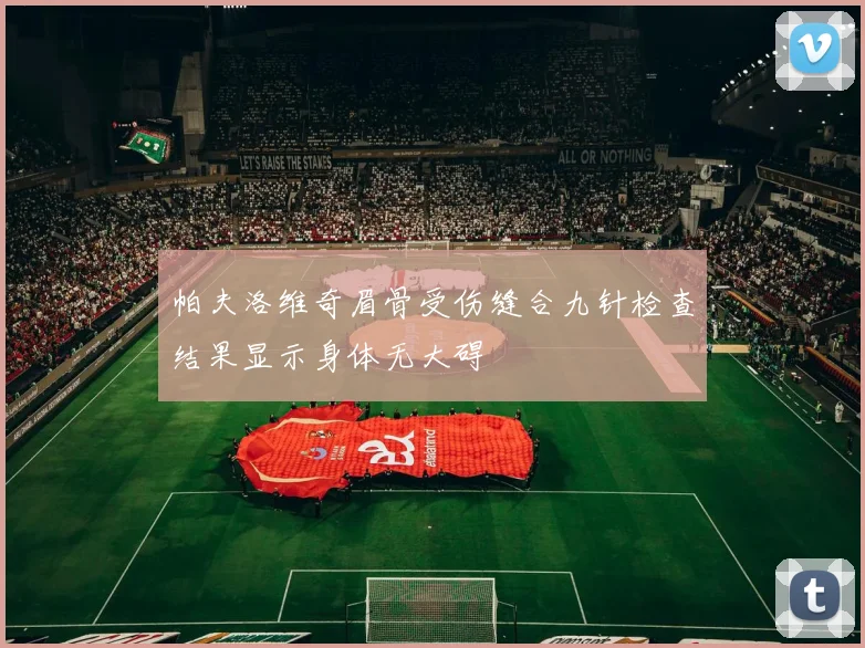 帕夫洛维奇眉骨受伤缝合九针检查结果显示身体无大碍